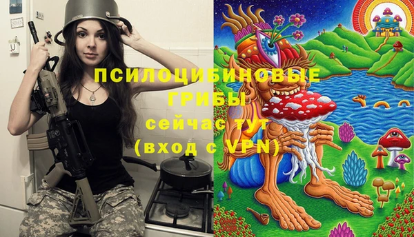 экстази Алексин