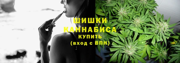 apvp Алзамай