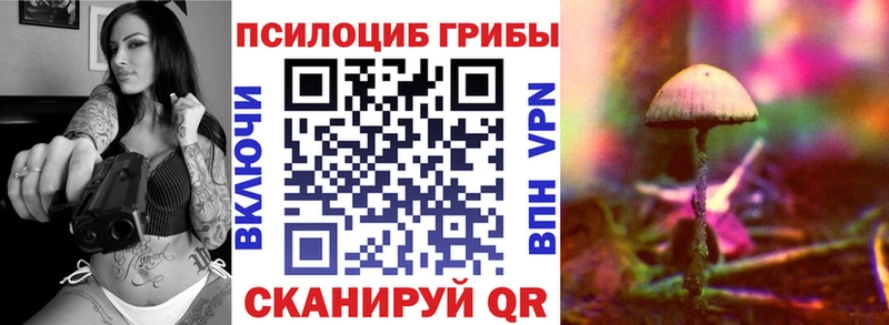 Псилоцибиновые грибы MAGIC MUSHROOMS  blacksprut ТОР  Куйбышев 